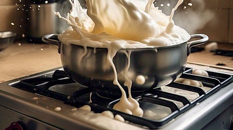 घाईगडबडीत थोडं दुर्लक्ष झालं आणि दूध उतू गेलं; महिलांनो तुमच्यासोबतही असं घडतं? मग 'या' खास टिप्स तुमच्यासाठी