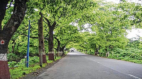 आरे कॉलनीत पशुपक्ष्यांसाठी अत्याधुनिक प्रयोगशाळा; रोगाचे वेळीच निदान व उपचार होणार 