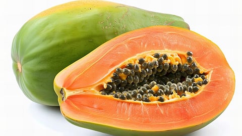 आतड्याच्या आरोग्यासाठी पपई एक वरदान; जाणून घ्या रिकाम्या पोटी पपई खाण्याचे फायदे