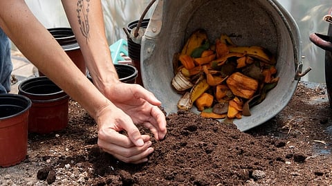 अतिशय सोप्या पद्धतीने बनवू शकता घरातच कंपोस्ट खत; कुंड्यांमधील झाडांसाठी होईल उपयोगी