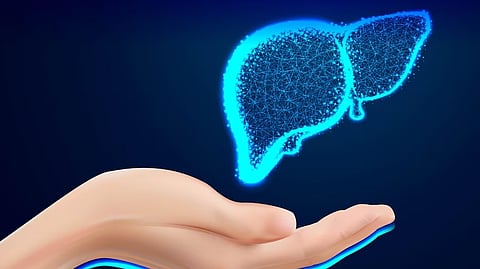 World Liver Day 2025 : लसून, हळद यांच्यासह आणखी कोणते पदार्थ तुमचे यकृत निरोगी ठेवतात? जाणून घ्या निरोगी यकृताचे महत्त्व