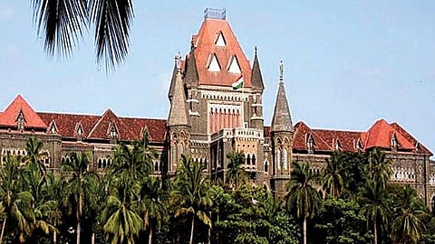 कोर्टाला 'डॉग माफिया' म्हणणे पडले महागात; नवी मुंबईतील महिलेला उच्च न्यायालयाचा झटका