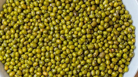 प्रथिनांचा खजिना आहे मूग; दररोजच्या आहारात करा समावेश, आरोग्यासाठी होतात 'हे' फायदे