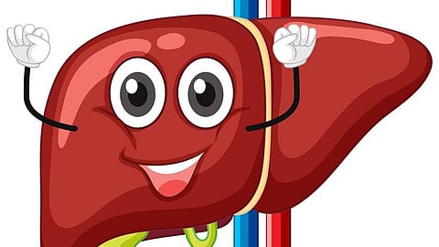 'या' आयुर्वेदिक पदार्थांनी यकृत करा डिटॉक्सिफाय; पोटाच्या समस्या होतील दूर 