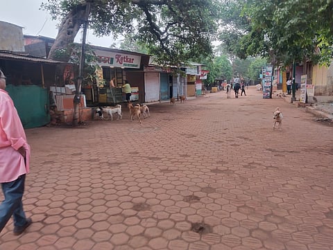 माथेरानसाठी क्ले पेव्हर ब्लॉक योग्य; नीरीचा अहवाल सुप्रीम कोर्टात