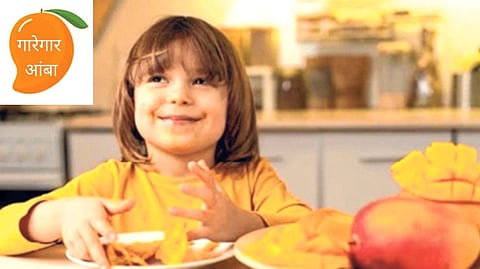 गारेगार आंबा