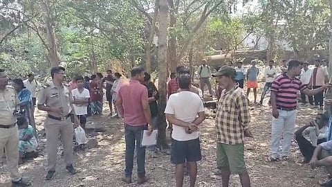 झाडाला लटकलेल्या तरुणाचा मृतदेह आढळल्याने खळबळ