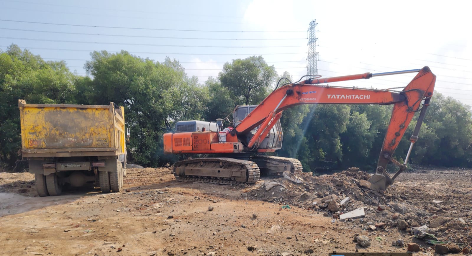 वाशी गाव परिसर पुन्हा कांदळवनाने नटणार 