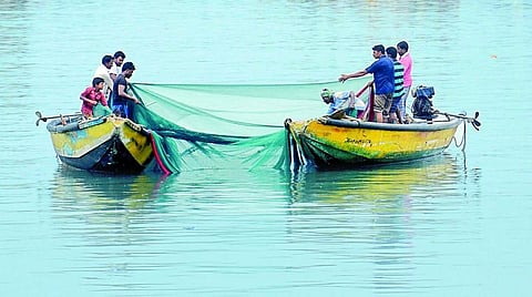 सागरी सुरक्षेसाठी 'डोळे व कान' बना; मच्छिमारांसाठी राज्य शासनाचे आवाहन