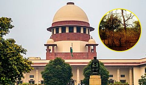 विदर्भातील ‘झुडपी जंगल’ वनक्षेत्र घोषित; सर्वोच्च न्यायालयाचा महत्त्वपूर्ण निर्णय