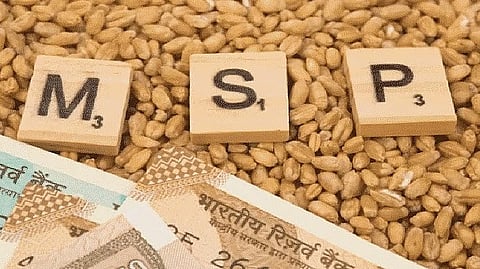 भात, डाळी, तेलबियांच्या किमान आधारभूत किंमतीत वाढ