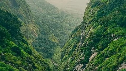 सातारा जिल्ह्यात निसर्ग पर्यटनाचा नवा अध्याय;
नवीन महाबळेश्वर पर्यटन प्रकल्पाचा उपमुख्यमंत्री शिंदे यांनी घेतला आढावा