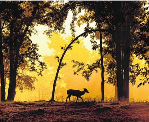 द व्ह्यूफाइंडर - असेही एक प्रेमपत्र 