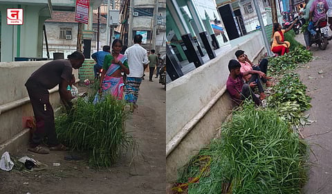 बकरी ईद सणाचा आदिवासींना आधार; गवत - पाला विकून मिळवितात रोजगार 