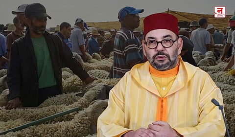 मोरोक्कोमध्ये बकरी ईदला कुर्बानीवर बंदी; राजाचा निर्णय, जनतेत संताप 