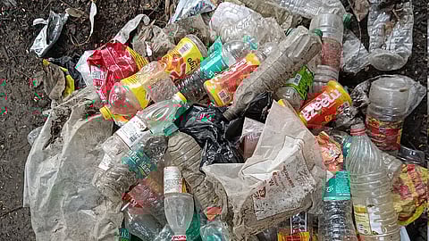 प्लास्टिकचा कहर, निसर्गातील जहर