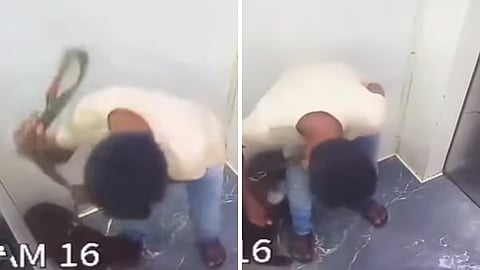 वर्सोवामध्ये पाळीव प्राण्यावर अत्याचार; लिफ्टमधील धक्कादायक व्हिडिओ समोर|Video