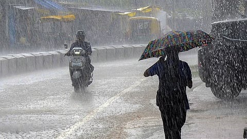 मान्सून पुन्हा सक्रिय होणार; राज्यातील बहुतांश जिल्ह्यात २५ जुलैपर्यंत जोरदार पाऊस