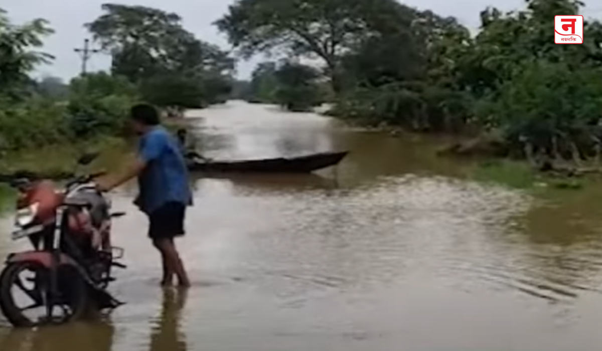 विदर्भात पावसाचे थैमान; चंद्रपूर जिल्ह्यातही धूमशान; नदी-नाले तुडुंब, अनेक मार्ग बंद