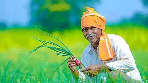 पंतप्रधान धन-धान्य कृषी योजनेला मंजुरी; २४ हजार कोटी रुपये खर्च होणार