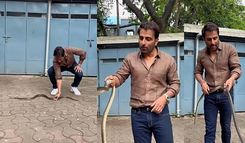 बापरे! सोनू सूदने पकडला साप; नेटकरी म्हणाले, ''माणसांनतर आता प्राण्यांनाही...''