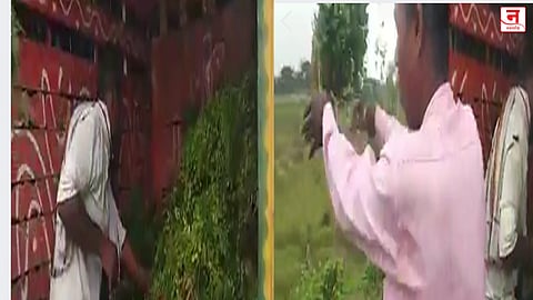 कोथींबीर, मेथीला मिळाला अवघा एक रुपया दर; जुड्या फेकल्या रस्त्यावर