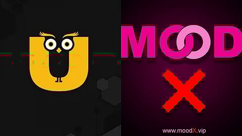 मोठी कारवाई! अश्लील कंटेंट प्रसारित करणाऱ्या Ullu, ALTT सह २० हून अधिक ॲप्सवर बंदी; केंद्र सरकारचा मोठा निर्णय 