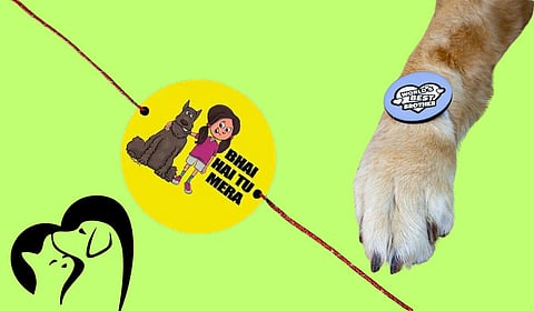 शेपूटवाल्यांचे रक्षाबंधन...