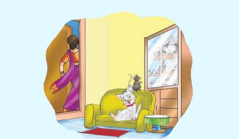 ये काली काली..?