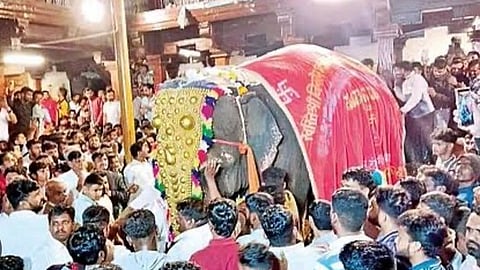 महादेवी हत्तीण: कोल्हापूरकरांचा एकजुटीचा लढा यशस्वी, हत्तीण परत येणार, नांदणी मठातच होणार ‘वनतारा’चे केंद्र