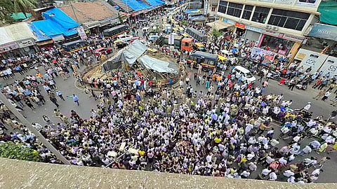 कबुतरांना अन्नपाणी देण्यावर बंदी कायम; तज्ज्ञांची समिती स्थापन करणार - हायकोर्ट 