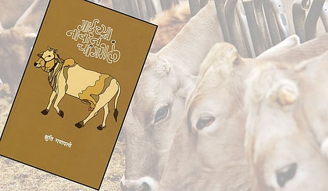 अंतर्मुख करणारे आहाराचे राजकारण 