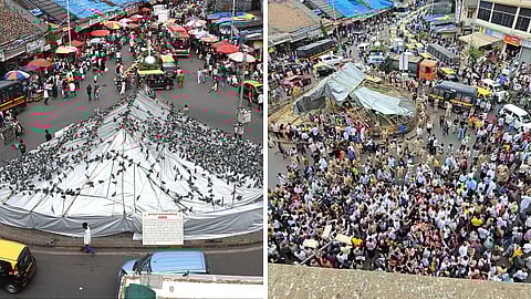 कबुतरांना दाणे टाकणाऱ्यांवर गुन्हे दाखल करा - सुप्रीम कोर्ट; हायकोर्टाच्या आदेशात हस्तक्षेप करण्यास नकार