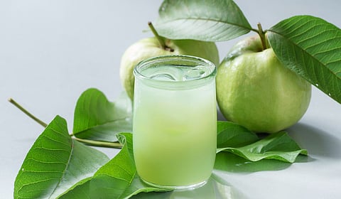 Guava leaf : बहुगुणी पेरूची पाने - नैसर्गिक आरोग्याचा खजिना