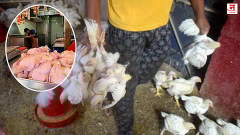 अन्नाची गरज आणि भूकेचे स्वातंत्र्य