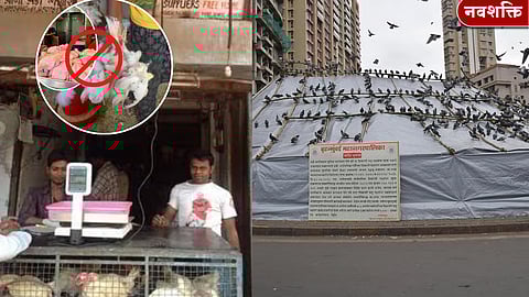 महाराष्ट्राचा ‘गायपट्टा’ होणे परवडणारे नाही!