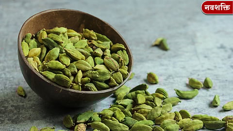 वेलची वेळेला टॉनिक: छोट्याशा दाण्यात आरोग्याचा मोठा फायदा; तज्ज्ञ सांगतात...