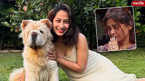 ती माझी इंडस्ट्रीतील पहिली मैत्रीण... प्रिया मराठेच्या आठवणीत प्रार्थना बेहेरे भावूक; Insta पोस्ट चर्चेत