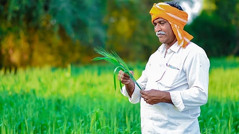 संग्रहित छायाचित्र 