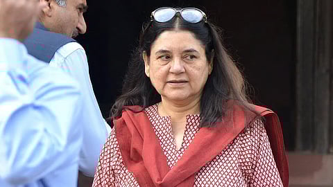 संग्रहित छायाचित्र 