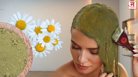 Mehndi for Hair : केसांना मेहंदी लावताय? हे ६ नियम पाळा नाहीतर होईल नुकसान!