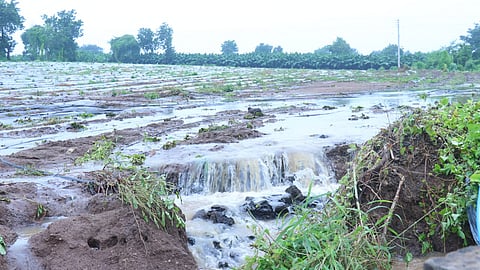 मराठवाड्यात हजारो हेक्टर पिके पाण्याखाली; दसऱ्यापर्यंत नुकसानभरपाईची रक्कम जमा होईल