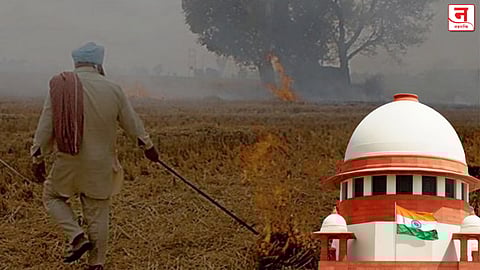 पराळी जाळल्याप्रकरणी  शेतकऱ्यांना अटक का नको? सर्वोच्च न्यायालयाचा पंजाब सरकारला सवाल