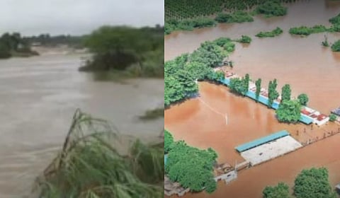 राज्यात ‘ओला दुष्काळ’ जाहीर होण्याची शक्यता; नुकसानग्रस्त शेतकऱ्यांची मागणी, मंत्रिमंडळाच्या बैठकीत होणार निर्णय