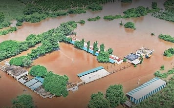 मराठवाड्यात अतिवृष्टीचा कहर; ६७ गावांचा संपर्क तुटला, ८ जणांचा मृत्यू