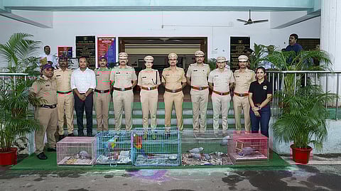 सव्वाअकरा लाखांचे पक्षी चोरणारे अटकेत; कर्जत पोलिसांची धडाकेबाज कामगिरी