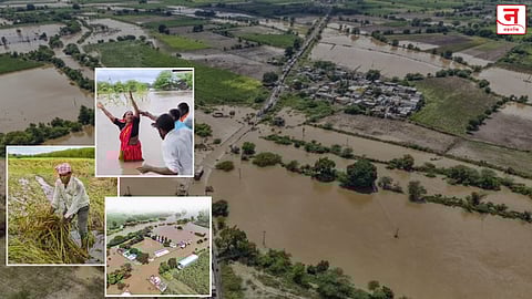 शेती बुडाली, डोळ्यात अश्रू! मराठवाड्यात पावसामुळे हाहाकार; ८ जणांचा मृत्यू; शुक्रवारपासून पुन्हा पावसाचा जोर वाढणार