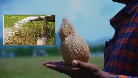 पाणाड्यांची भोंदूगिरी?