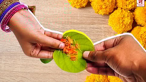 Dussehra 2025 : दसऱ्याला आपट्याच्या पानांना का मिळतो सोन्याचा मान? वाचा यामागची रोचक कथा 