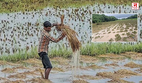 निसर्ग आणि सत्ताधाऱ्यांच्या कोंडीत शेतकरी